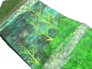 引箔枯れ木模様織出し名古屋帯